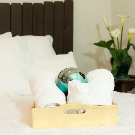 Suite 5A, Altavista, Garden House, Welcome To San Angel 墨西哥城 外观 照片