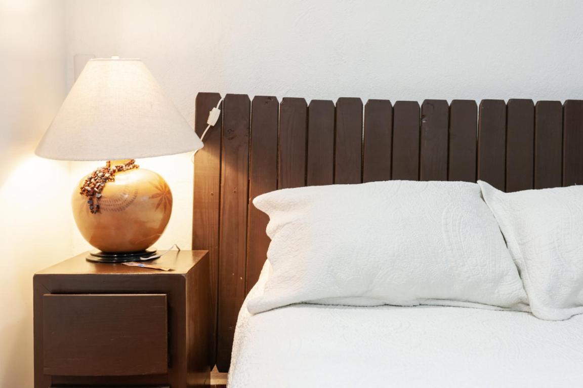 Suite 5A, Altavista, Garden House, Welcome To San Angel 墨西哥城 外观 照片