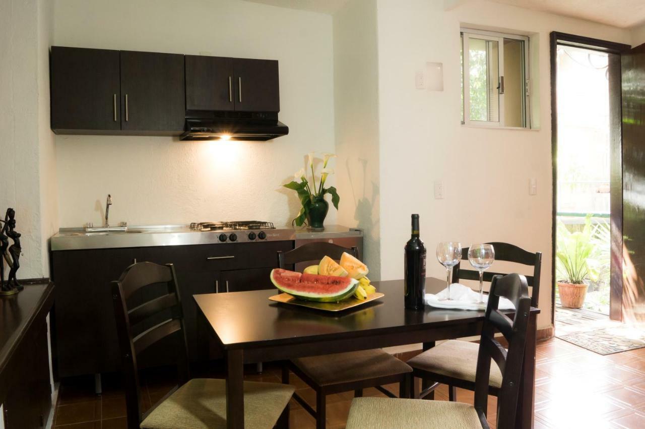 Suite 5A, Altavista, Garden House, Welcome To San Angel 墨西哥城 外观 照片