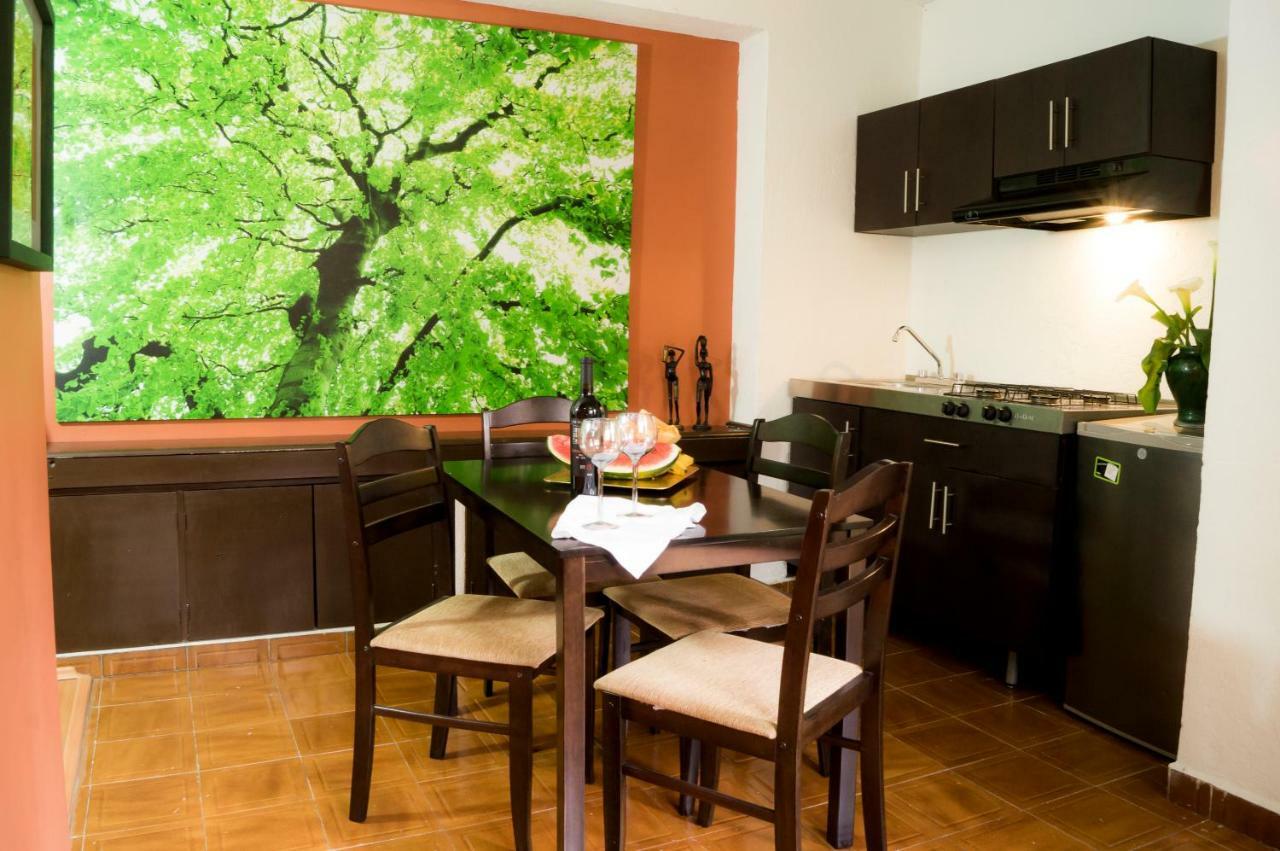 Suite 5A, Altavista, Garden House, Welcome To San Angel 墨西哥城 外观 照片