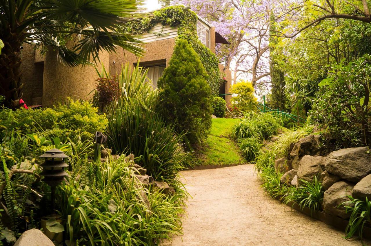 Suite 5A, Altavista, Garden House, Welcome To San Angel 墨西哥城 外观 照片